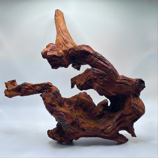 Malaysian Driftwood - Large