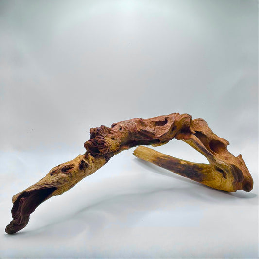 Malaysian Driftwood - Large